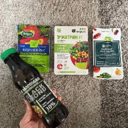 Нарцисс (3 луковицы) - фото 9