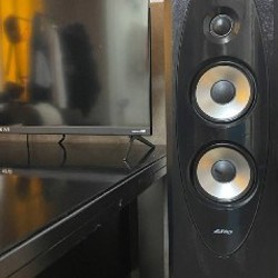 Акустическая система Т-60X - фото 4