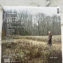 Пластинка Taylor Swift - фото 2