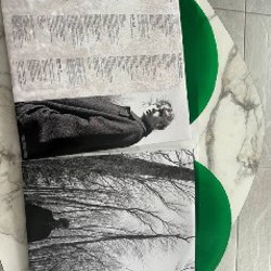 Пластинка Taylor Swift - фото 5