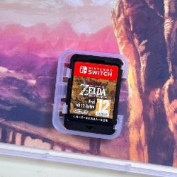 The Legend of Zelda: Breath of the Wild - фото 2