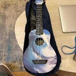 Укулеле - фото 4