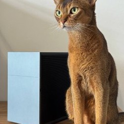 Компьютер SFF - фото 4