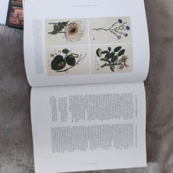 Анатомия цвета - фото 3