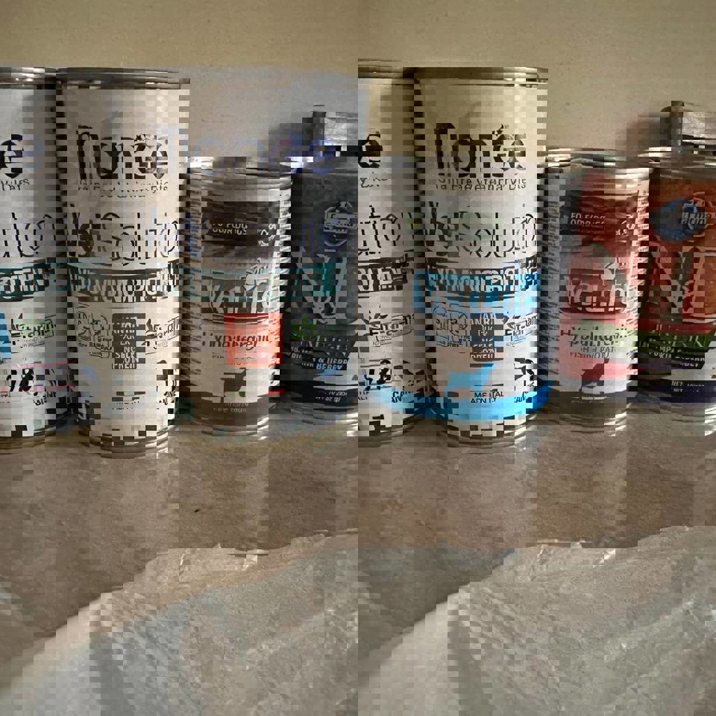 Корм для собак