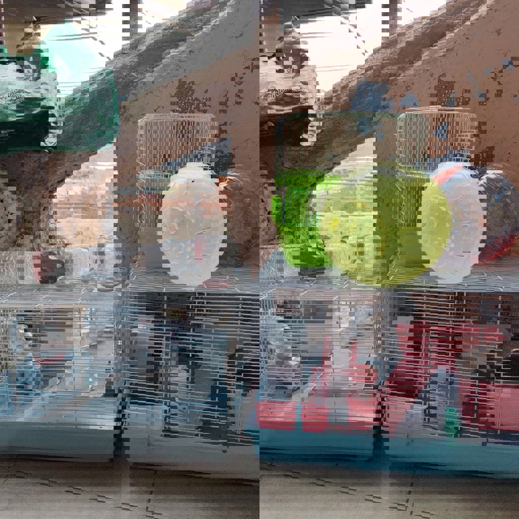 Клетки для грызунов