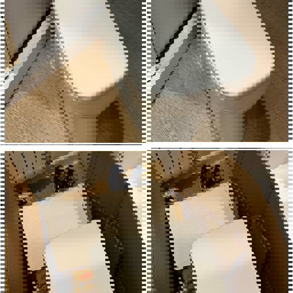 Унитаз Morvarid Olga