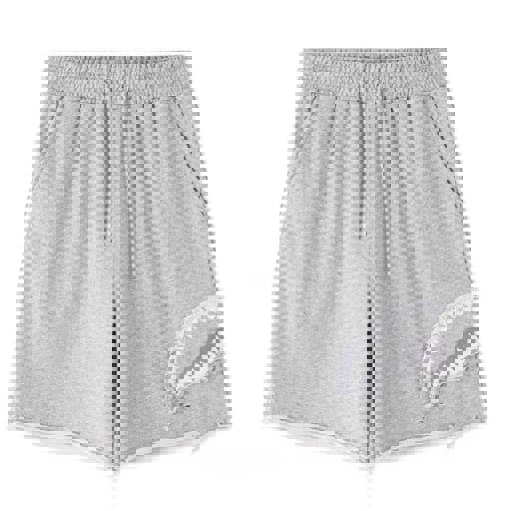 Шорты Sprayground