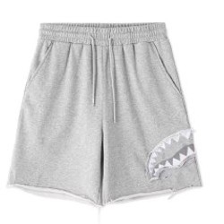 Шорты Sprayground - фото 2