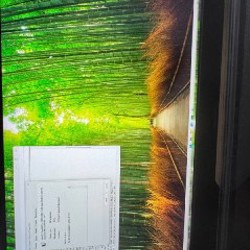 ASUS ROG Strix SCAR III G731GW - фото 7