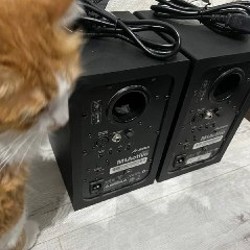 Студийные мониторы Alesis M1 Active 520 - фото 2