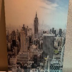 Электросамокат Cecotec - фото 1