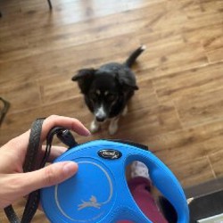 Разветвитель Orient - фото 2