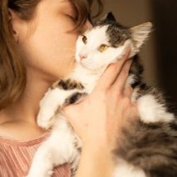 Хепри - фото 3