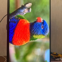 Samsung ViewFinity S8 - фото 3