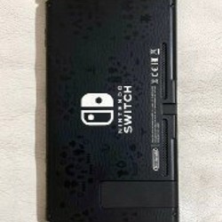 Nintendo Switch Animal Crossing Edition - фото 2