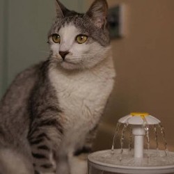 Мишель - фото 3