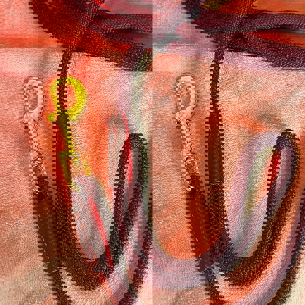 Коляска для животных