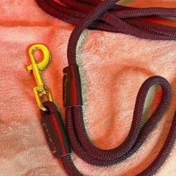 Коляска для животных - фото 1