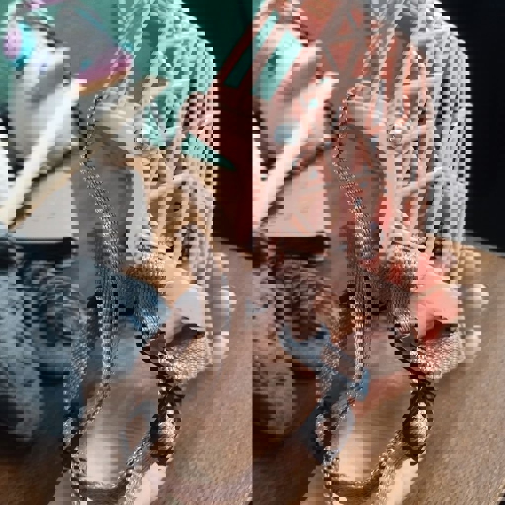 Намордник для небольшой собаки