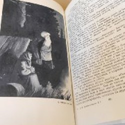 Собрание сочинений Д.Н. Мамина-Сибиряка - фото 4