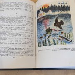 Собрание сочинений Д.Н. Мамина-Сибиряка - фото 5