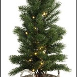 Ёлочка - фото 2