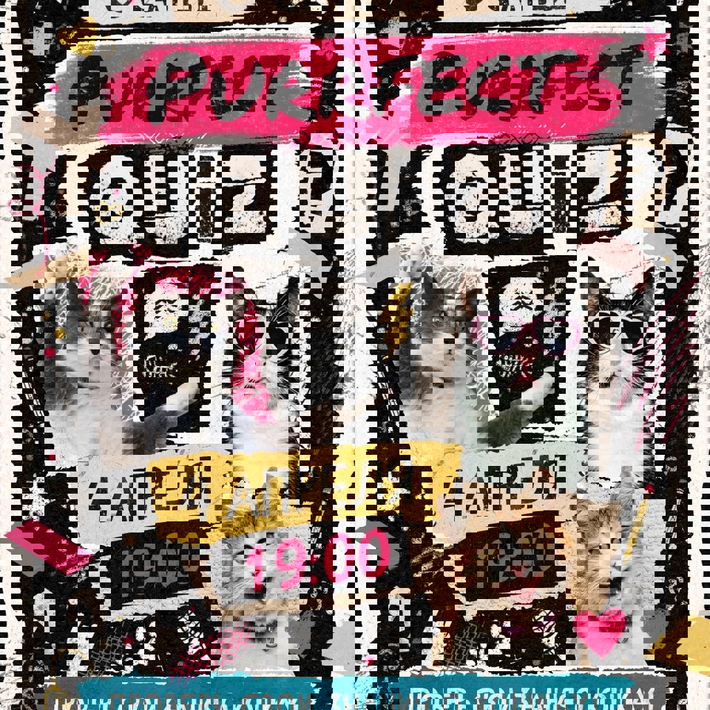 Благотворительный квиз от CATEBI