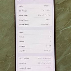 IPhone 17 Pro Max 256GB - фото 3