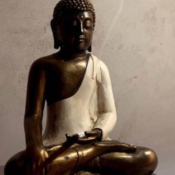 Тяжёлое одеяло из гречихи - фото 2