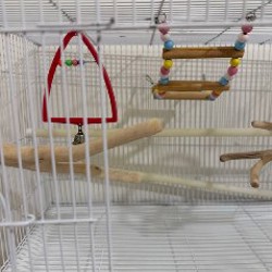 Клетка для попугая - фото 2