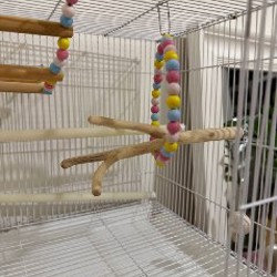 Клетка для попугая - фото 3