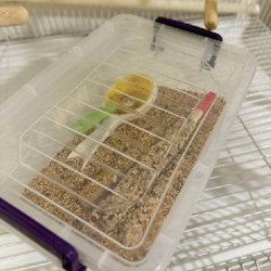 Клетка для попугая - фото 4