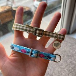 Ошейники для животных - фото 3