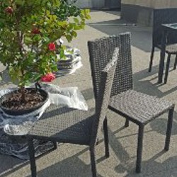 Стулья уличные садовые - фото 2