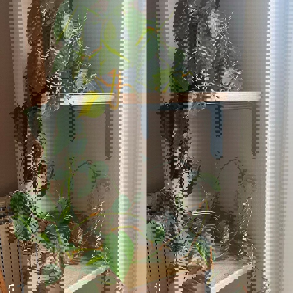 Рабочий стол