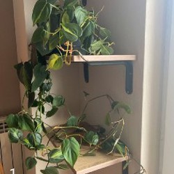 Рабочий стол - фото 1