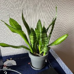 Рабочий стол - фото 3