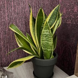 Рабочий стол - фото 4