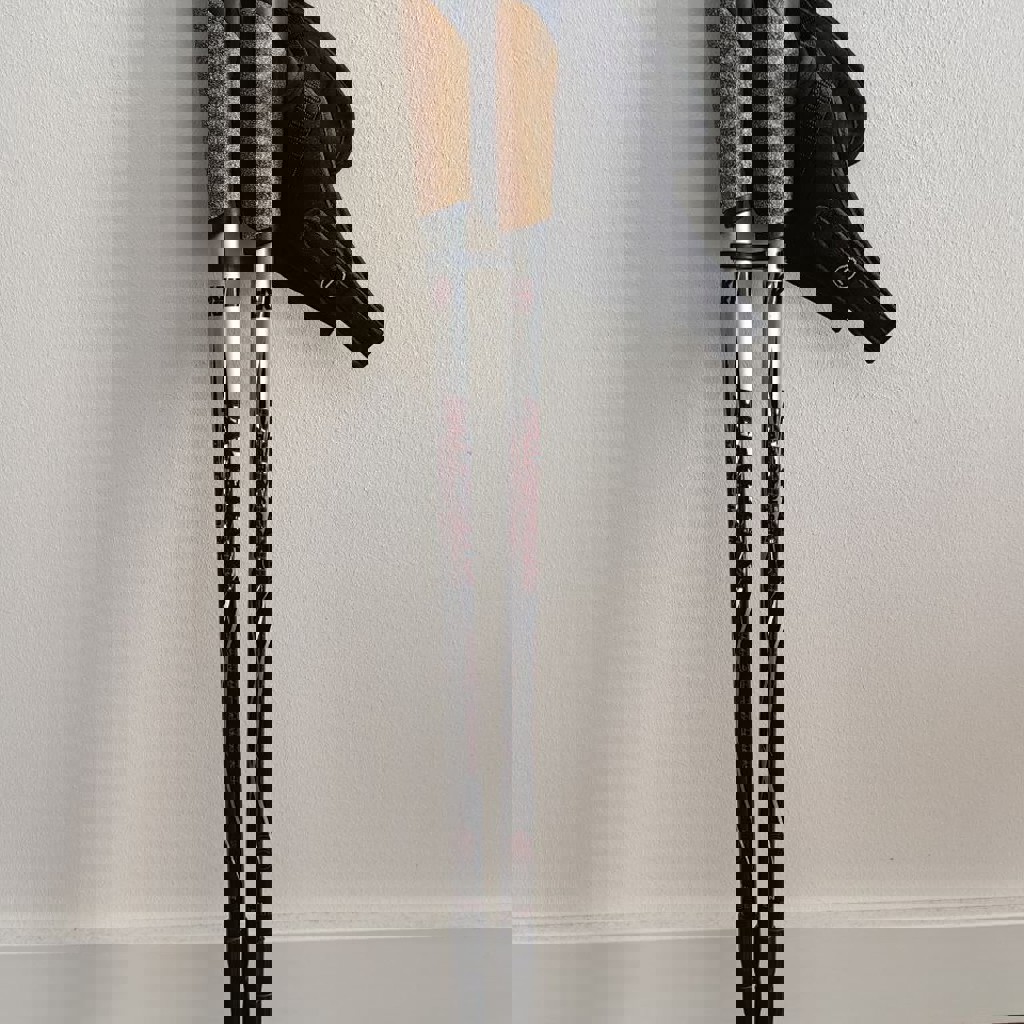 Палки для хайкинга