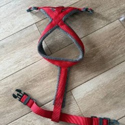 Ошейник на средних собак - фото 3