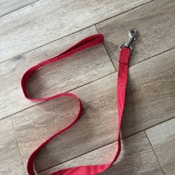 Ошейник на средних собак - фото 4