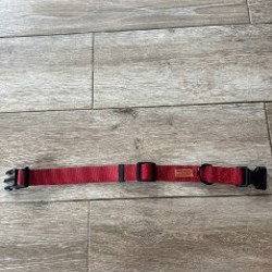 Ошейник на средних собак - фото 5