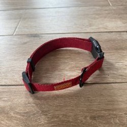 Ошейник на средних собак - фото 6