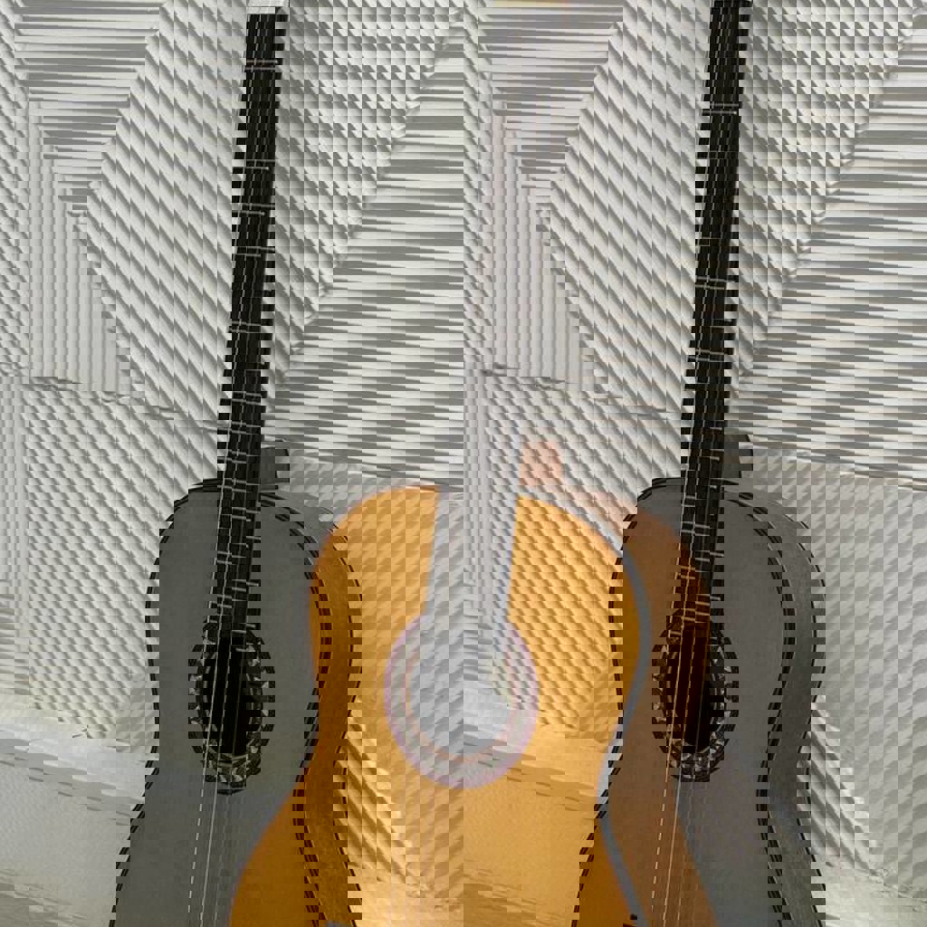 Классическая гитара Valencia