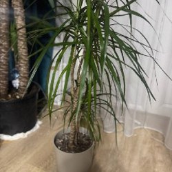 Зеркало - фото 2