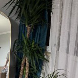 Зеркало - фото 3