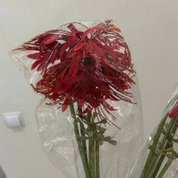 Искусственный цветок Паучья Лилия - фото 3