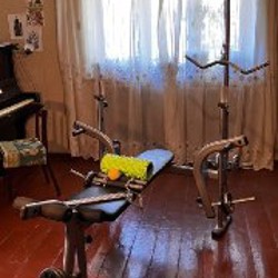 Ролл и мяч - фото 1