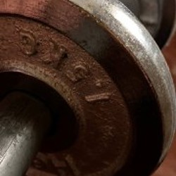 Ролл и мяч - фото 8